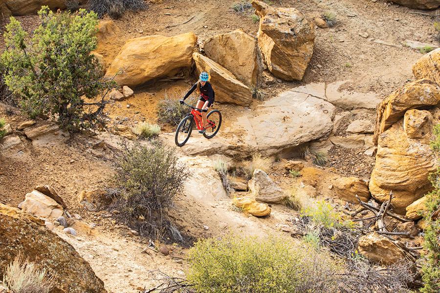 Person on their bike at the SJC Bike Park